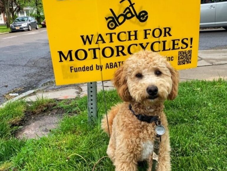 Attorney Christina Gullo's adorable dog, Judge, standing in front of an ABATE lawn sign that says "Look Twice Save a Life. Watch Out for Motorycycles!"