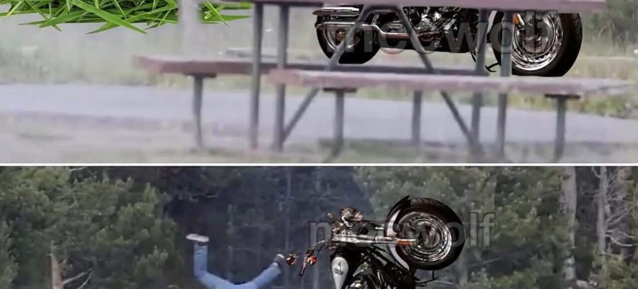 grampaclibbns Meme showing the grandpa that was thrown in the air by a Yellowstone bison, riding a Harley-Davidson, and now being thrown in the air by a big pile of lawn clippings. It's meant to be funny, poking fun of the folks that think lawn clippings are very dangerous.