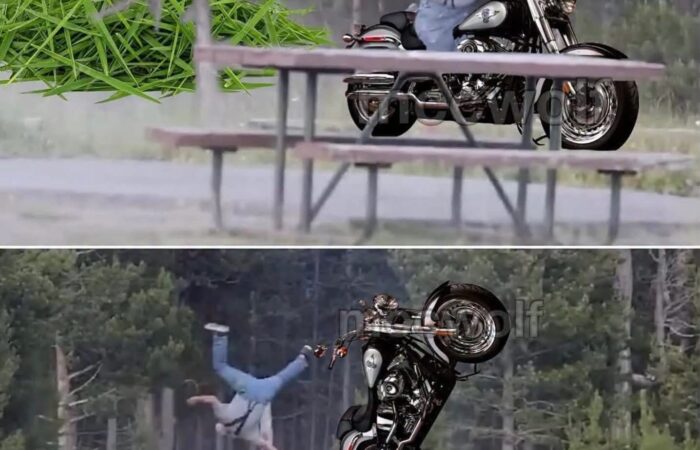 Meme showing the grandpa that was thrown in the air by a Yellowstone bison, riding a Harley-Davidson, and now being thrown in the air by a big pile of lawn clippings. It's meant to be funny, poking fun of the folks that think lawn clippings are very dangerous.