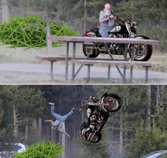Meme showing the grandpa that was thrown in the air by a Yellowstone bison, riding a Harley-Davidson, and now being thrown in the air by a big pile of lawn clippings. It's meant to be funny, poking fun of the folks that think lawn clippings are very dangerous.