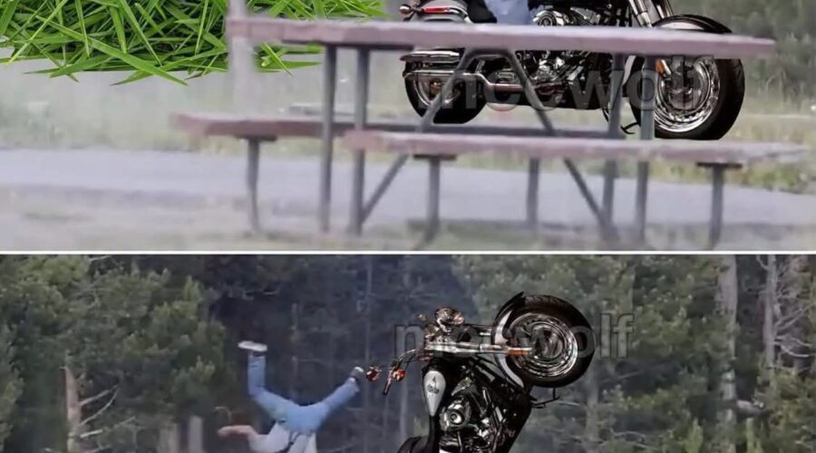 grampaclibbns Meme showing the grandpa that was thrown in the air by a Yellowstone bison, riding a Harley-Davidson, and now being thrown in the air by a big pile of lawn clippings. It's meant to be funny, poking fun of the folks that think lawn clippings are very dangerous.