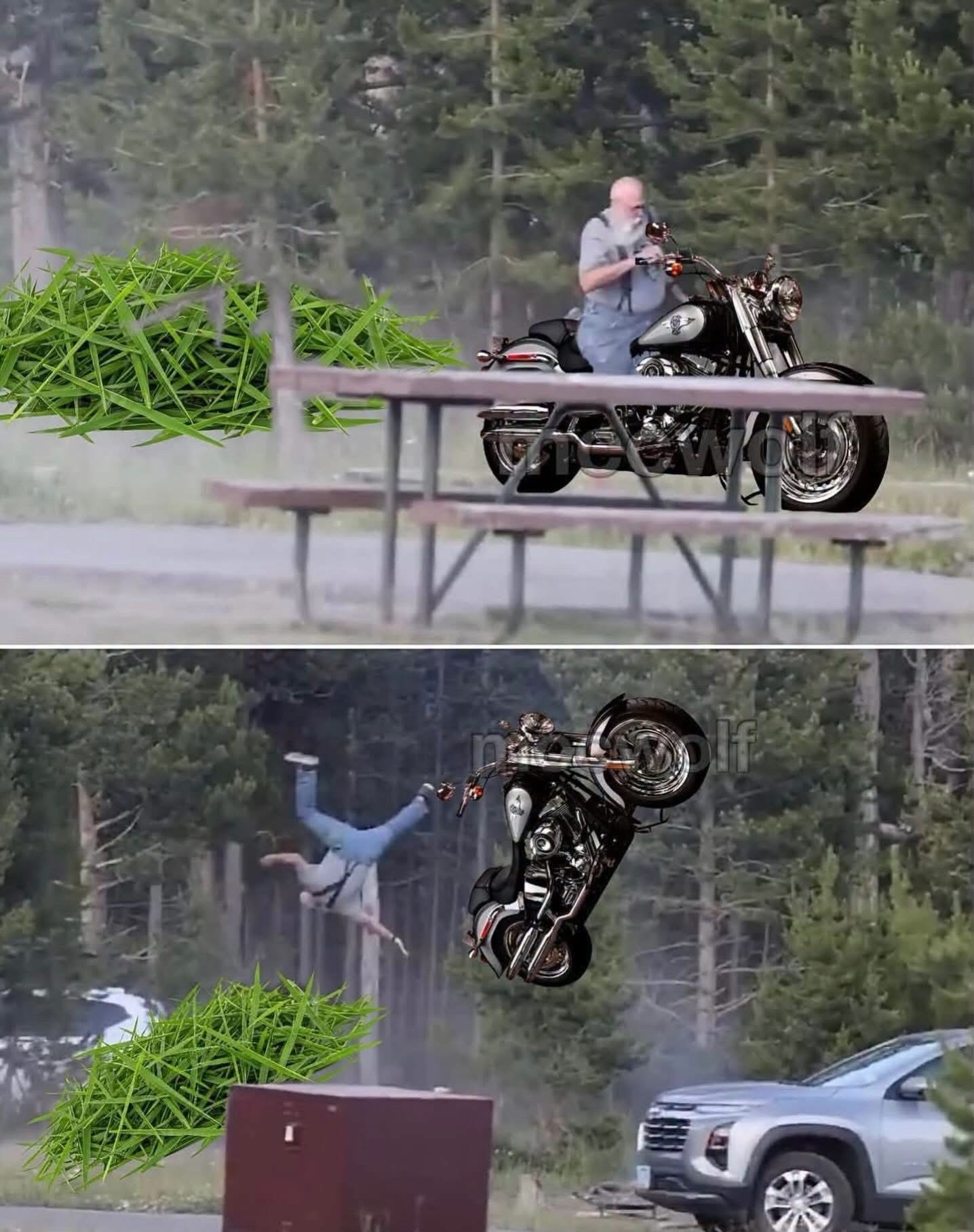 grampaclibbns Meme showing the grandpa that was thrown in the air by a Yellowstone bison, riding a Harley-Davidson, and now being thrown in the air by a big pile of lawn clippings. It's meant to be funny, poking fun of the folks that think lawn clippings are very dangerous.